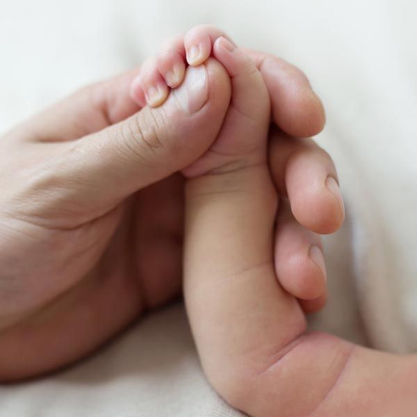 Baby's hand in adult's