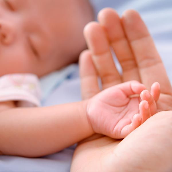 Baby's hand in adult's